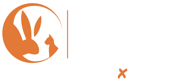 logo Centro educacional cognitiva